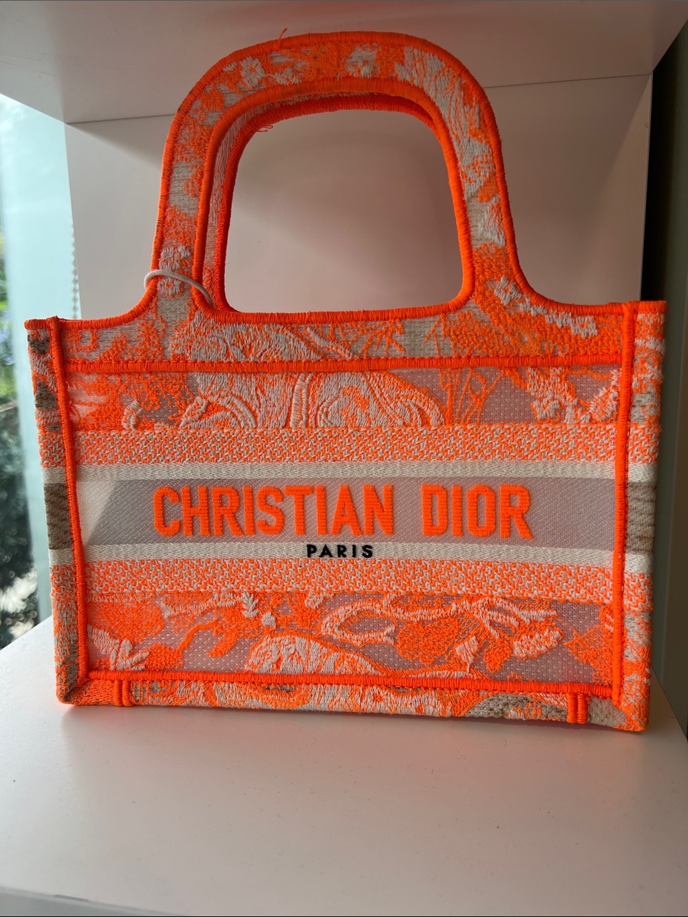 Christian Dior Hangbag